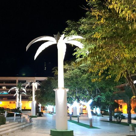 Apartamento Porticada Guardamar del Segura Dış mekan fotoğraf