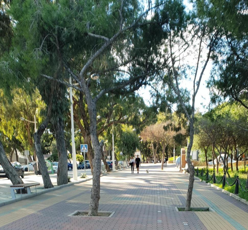 Apartamento Porticada Guardamar del Segura Dış mekan fotoğraf
